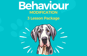 Book 3 Lesson Behaviour Package - $350