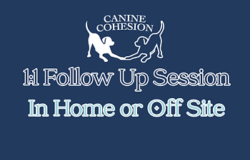 Book Follow Up Session (In Home or Off-Site)