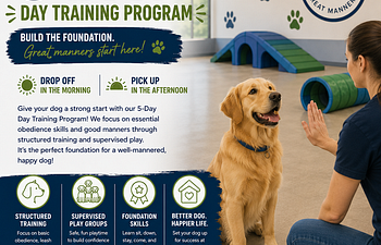 Book 5 Day Training