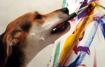 Book Barks & Crafts!