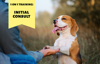 Book 1 on 1 Training: Initial Consultation