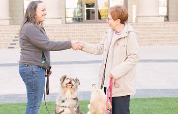 Book Canine Good Citizen Class at Lake Olympia Animal Hospital