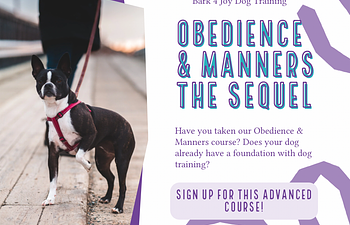 Book Obedience and Manners - The Sequel