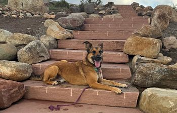 Book Beyond the Basic's - 6wk Out and About Class