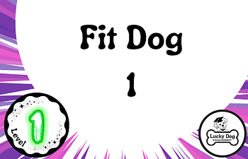 Book Level 1 | Fit Dog  