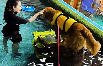 Book Orientation Swim 