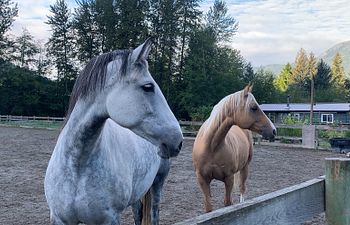 Book Follow-up sessions for Current clients