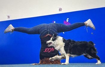 Book Yoga for Dog Handlers buy 5 get 1 free