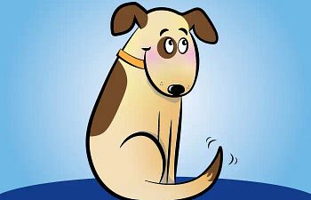 Book Shy Dog Course - Santa Barbara Campus