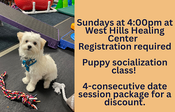 Book  Puppy Play & Train, 8wks.-20wks.