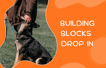 Book Building Blocks Drop In