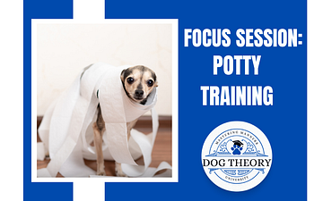 Book Focus Session :Potty Training 