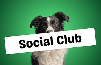 Book Social Club: Scent Work