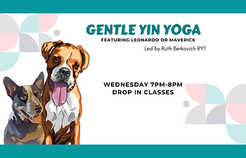 Book Drop In - Yin Yoga with Ruth - Featuring Leonardo or Maverick!