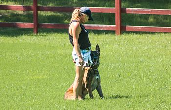 Book Well Mannered Pup Private coaching lesson package