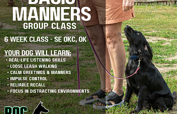 Book Basic Manners Group Class