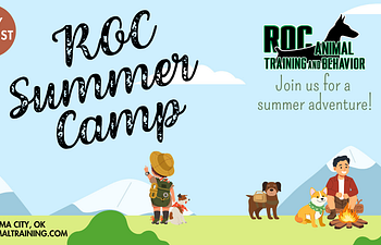 Book ROC Summer Camp