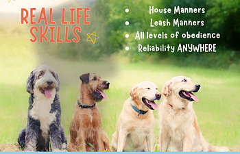 Book Real Life Skills  - Obedience & Manners