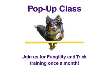 Book Pop-Up Class 