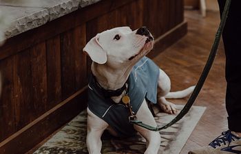 Book Foundation Skills- Level 3: Public Access