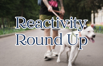 Book Reactivity Round Up
