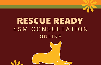 Book Rescue Ready Consultation - Online  💻