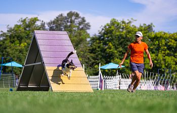 Book Discriminations - Agility Workshop