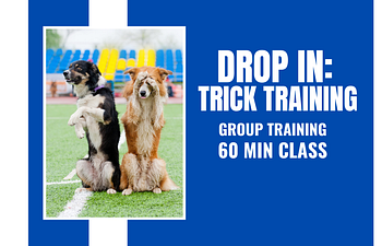Book Drop In: Trick Training