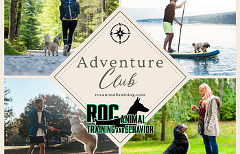 Book Adventure Club