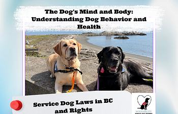 Book The Dog's Mind and Body: Service Dog Laws in BC & Your Rights 