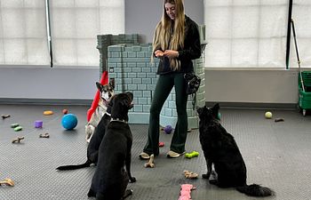 Book Prep School: Teen Track