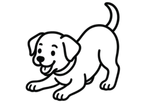 Book Ready, Pup, Grow! – Puppy Socialization (8–16 weeks)