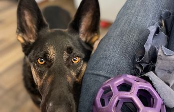 Book 1 hour Private Training Session