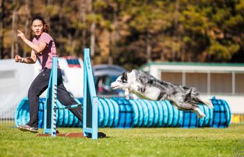 Book AT401 Agility Skills and Drills Workshop - 2 hours