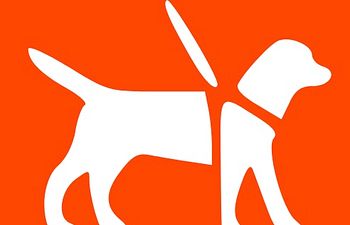 Book Walk This Way-Heeling & Focus Workshop