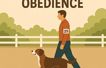 Book Competitive Obedience Drop-In (BN & Novice)