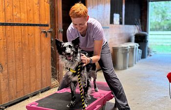 Book Chiropratic with Dr. Mahaney