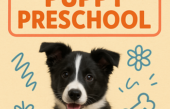 Book Puppy Preschool