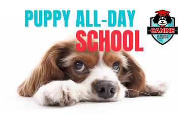 Book Puppy All Day School (8-20 weeks)