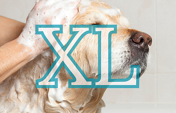 Book (G) 71-90b | XLarge Groom