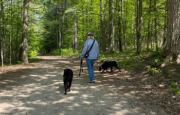 Book Mentorship & Professional Development- Foundation 