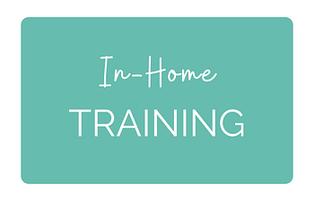 Book Single In-Home Training Session