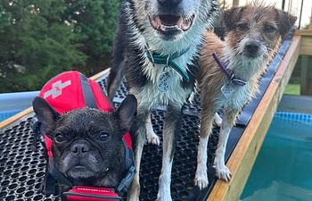 Book Pool Rental (30 Minutes)