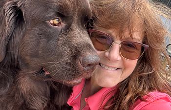 Book Private in Home Dog Training