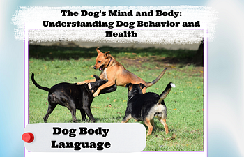 Book The Dog's Mind and Body: Dog Body Language 
