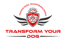 Transform Your Dog LLC