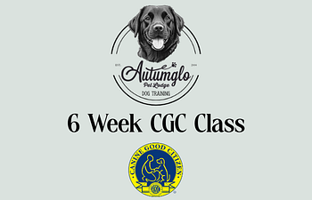 Book CGC Group Training