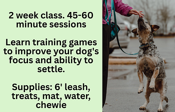 Book Workshop: Training Games