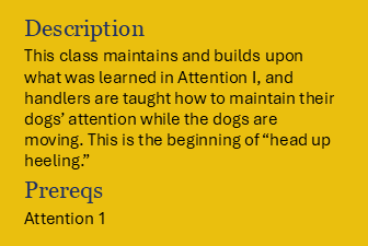 Book Attention 2