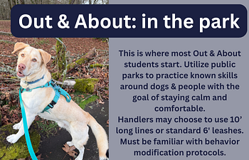 Book Out & About! in the park